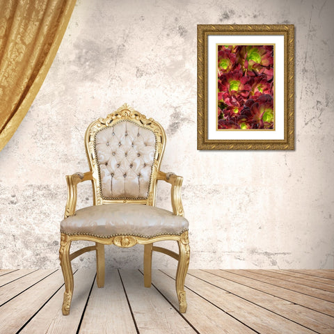 Green in Red Flower Gold Ornate Wood Framed Art Print with Double Matting by Johnson, George