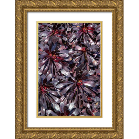 Yellow in Red Flowers Gold Ornate Wood Framed Art Print with Double Matting by Johnson, George