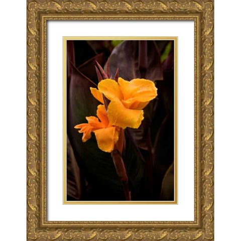 Orange Flower I Gold Ornate Wood Framed Art Print with Double Matting by Johnson, George
