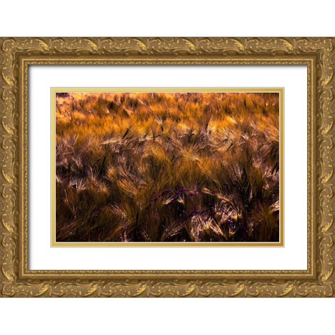 Golden Grain Gold Ornate Wood Framed Art Print with Double Matting by Johnson, George