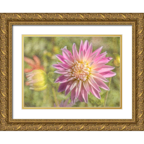 Garden Dahlias Gold Ornate Wood Framed Art Print with Double Matting by Johnson, George