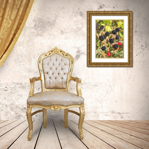 Geroges Wild Berries Gold Ornate Wood Framed Art Print with Double Matting by Johnson, George