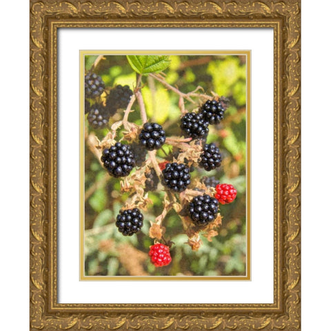 Geroges Wild Berries Gold Ornate Wood Framed Art Print with Double Matting by Johnson, George