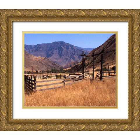 Summer Corral II Gold Ornate Wood Framed Art Print with Double Matting by Larson, Scott