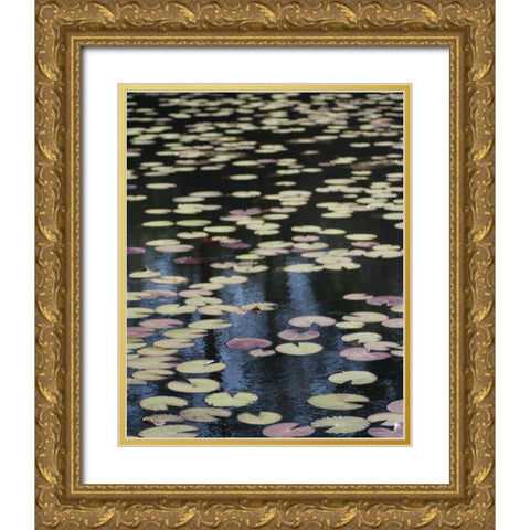 Lily Pond I Gold Ornate Wood Framed Art Print with Double Matting by Larson, Scott