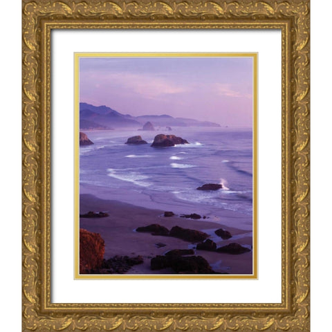 Ecola State Park I Gold Ornate Wood Framed Art Print with Double Matting by Leahy, Ike