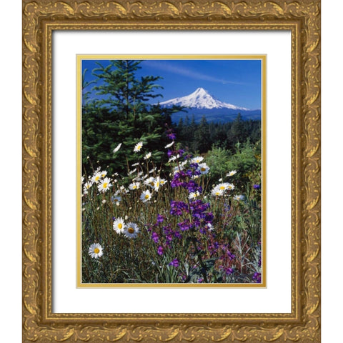 Mt. Hood V Gold Ornate Wood Framed Art Print with Double Matting by Leahy, Ike