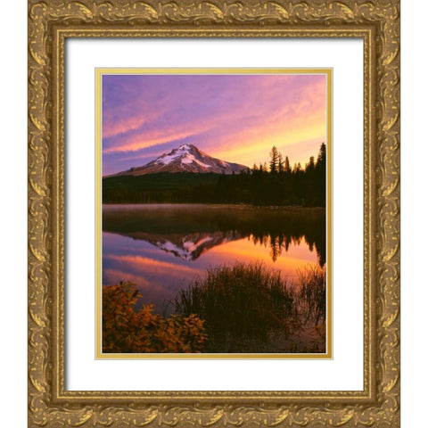 Mt. Hood XVI Gold Ornate Wood Framed Art Print with Double Matting by Leahy, Ike