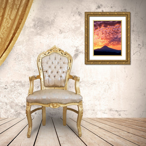 Mt. Hood XXII Gold Ornate Wood Framed Art Print with Double Matting by Leahy, Ike
