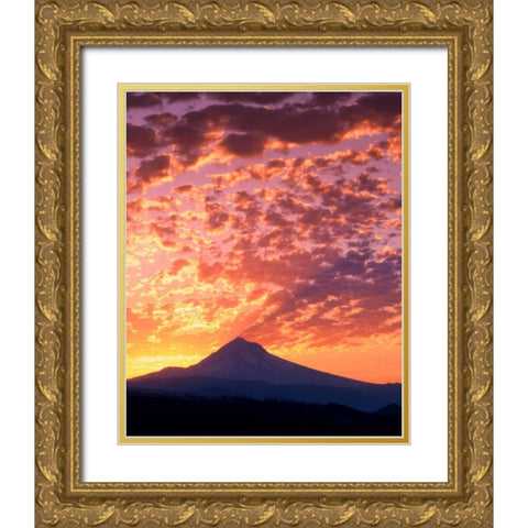 Mt. Hood XXII Gold Ornate Wood Framed Art Print with Double Matting by Leahy, Ike