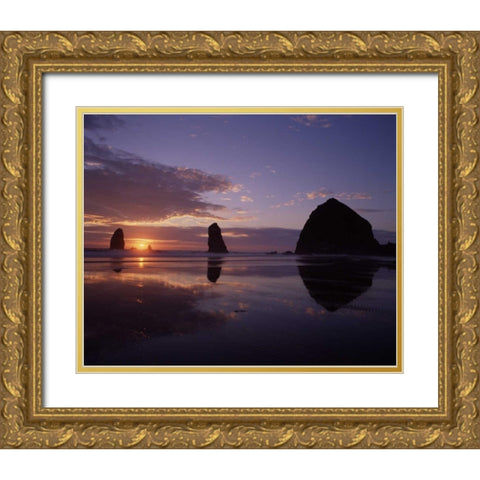 Haystack Rock II Gold Ornate Wood Framed Art Print with Double Matting by Leahy, Ike