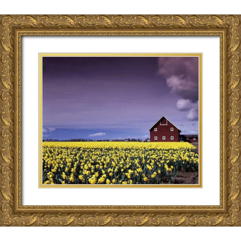 Barn in Daffodils Gold Ornate Wood Framed Art Print with Double Matting by Leahy, Ike