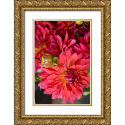 Fuschia Dalhia II Gold Ornate Wood Framed Art Print with Double Matting by Love, Maureen
