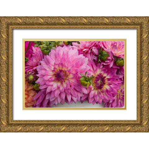 Purple Dalhia I Gold Ornate Wood Framed Art Print with Double Matting by Love, Maureen