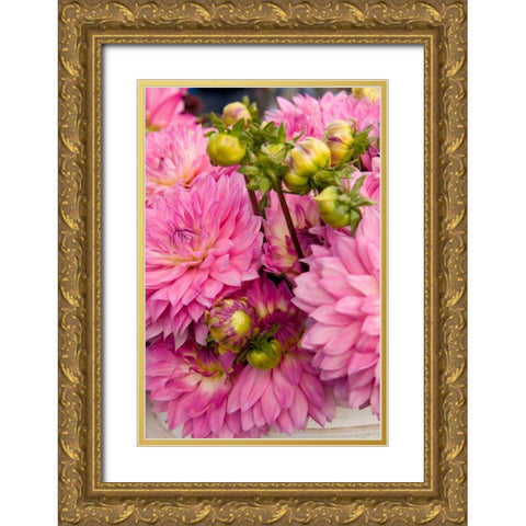Pink Dalhia I Gold Ornate Wood Framed Art Print with Double Matting by Love, Maureen