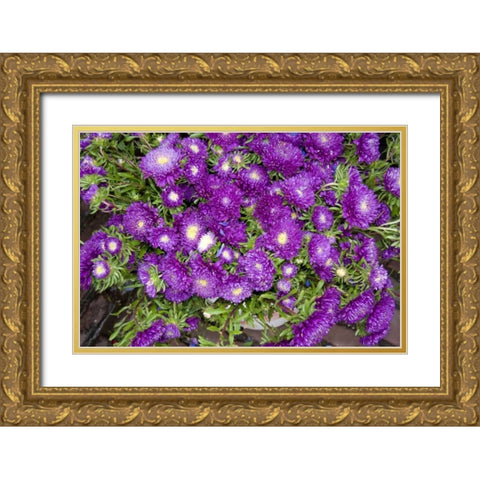 Purple Stars I Gold Ornate Wood Framed Art Print with Double Matting by Love, Maureen