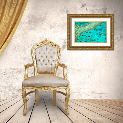 Great Barrier Reef I Gold Ornate Wood Framed Art Print with Double Matting by Malvin, Larry