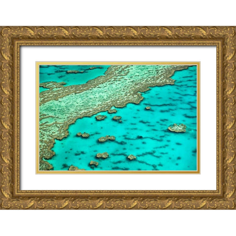Great Barrier Reef I Gold Ornate Wood Framed Art Print with Double Matting by Malvin, Larry