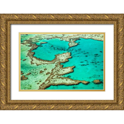 Great Barrier Reef III Gold Ornate Wood Framed Art Print with Double Matting by Malvin, Larry