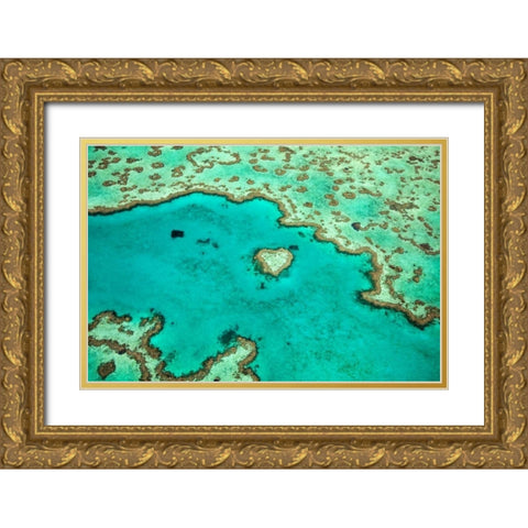 Great Barrier Reef IV Gold Ornate Wood Framed Art Print with Double Matting by Malvin, Larry