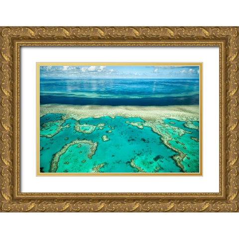 Coral River II Gold Ornate Wood Framed Art Print with Double Matting by Malvin, Larry