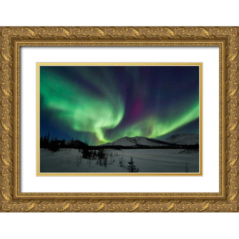 Aurora Borealis I Gold Ornate Wood Framed Art Print with Double Matting by Malvin, Larry