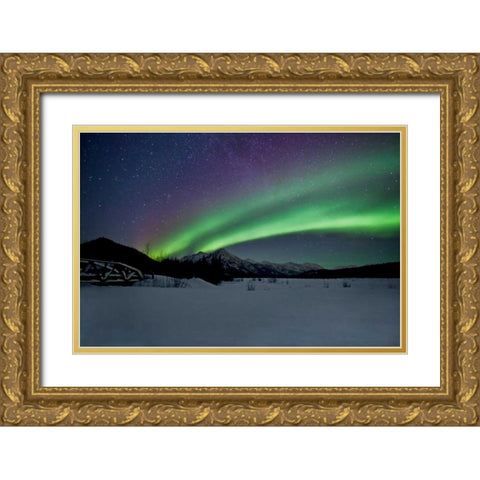 Aurora Borealis II Gold Ornate Wood Framed Art Print with Double Matting by Malvin, Larry