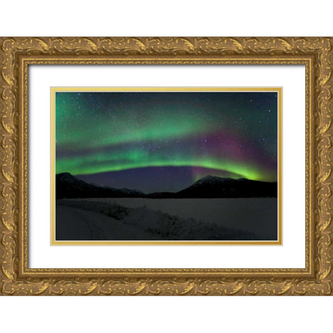 Aurora Borealis III Gold Ornate Wood Framed Art Print with Double Matting by Malvin, Larry