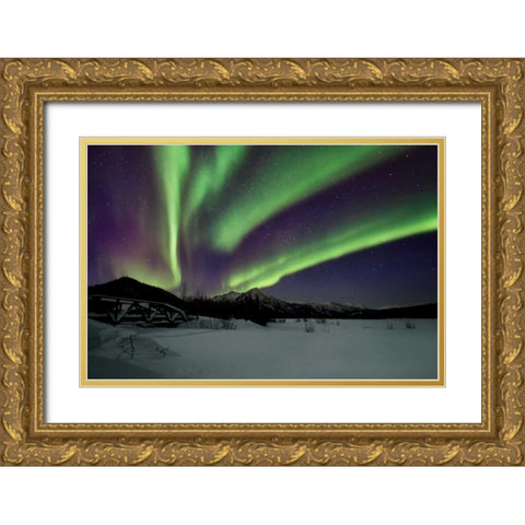 Aurora Borealis IV Gold Ornate Wood Framed Art Print with Double Matting by Malvin, Larry