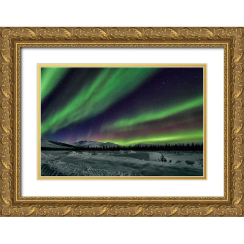 Aurora Borealis V Gold Ornate Wood Framed Art Print with Double Matting by Malvin, Larry