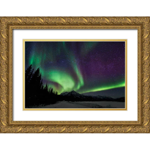 Aurora Borealis VI Gold Ornate Wood Framed Art Print with Double Matting by Malvin, Larry