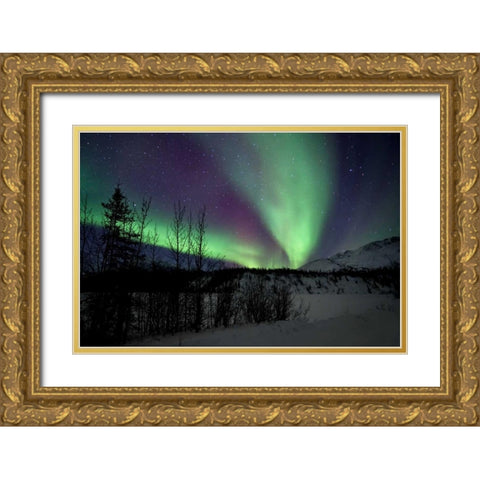 Aurora Borealis VII Gold Ornate Wood Framed Art Print with Double Matting by Malvin, Larry