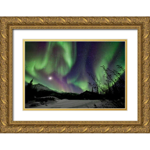 Aurora Borealis VIII Gold Ornate Wood Framed Art Print with Double Matting by Malvin, Larry