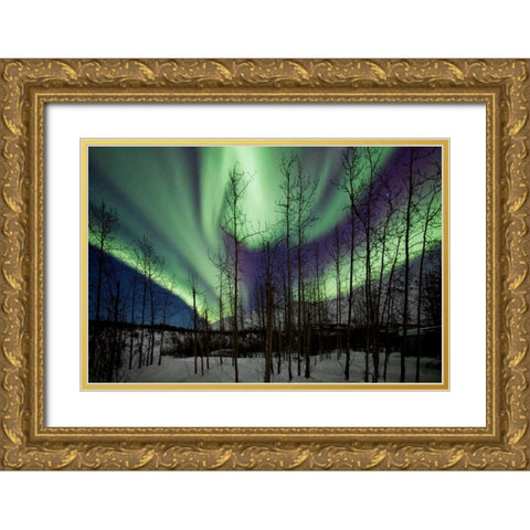 Aurora Borealis IX Gold Ornate Wood Framed Art Print with Double Matting by Malvin, Larry