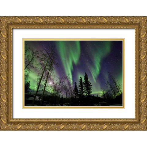 Aurora Borealis X Gold Ornate Wood Framed Art Print with Double Matting by Malvin, Larry
