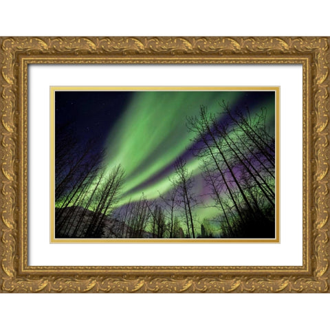 Aurora Borealis XI Gold Ornate Wood Framed Art Print with Double Matting by Malvin, Larry