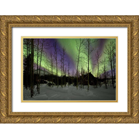 Aurora Borealis XII Gold Ornate Wood Framed Art Print with Double Matting by Malvin, Larry