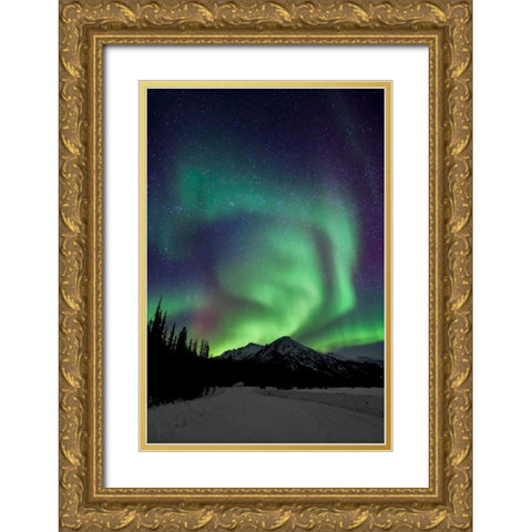 Aurora Borealis XIII Gold Ornate Wood Framed Art Print with Double Matting by Malvin, Larry