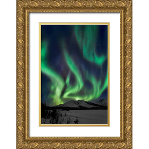 Aurora Borealis XIV Gold Ornate Wood Framed Art Print with Double Matting by Malvin, Larry