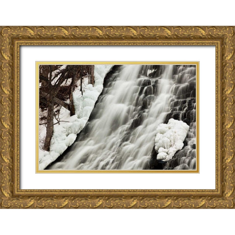 Oshinkoshin Falls I Gold Ornate Wood Framed Art Print with Double Matting by Malvin, Larry