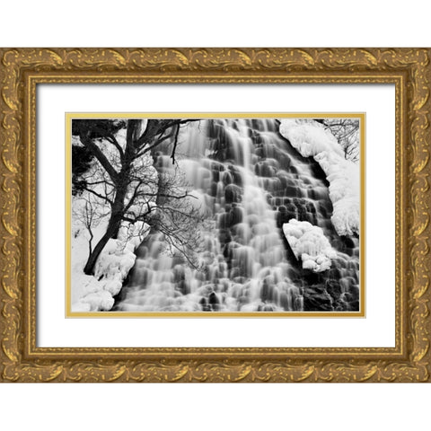Oshinkoshin Falls II Gold Ornate Wood Framed Art Print with Double Matting by Malvin, Larry