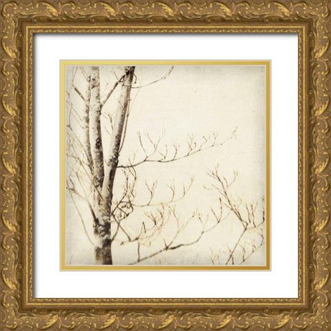Winter Trees I Gold Ornate Wood Framed Art Print with Double Matting by Melious, Amy