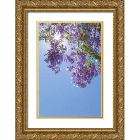 Jacaranda Tree I Gold Ornate Wood Framed Art Print with Double Matting by Mahan, Kathy