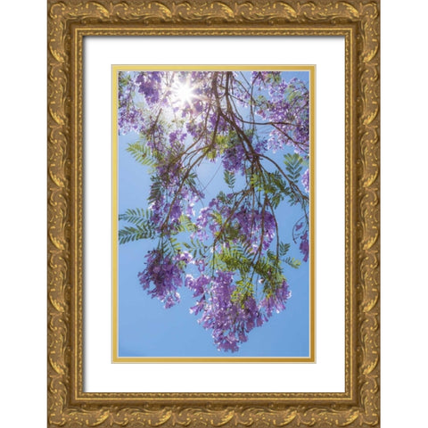 Jacaranda Tree II Gold Ornate Wood Framed Art Print with Double Matting by Mahan, Kathy