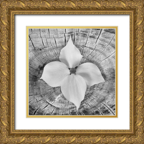 Bloom I Gold Ornate Wood Framed Art Print with Double Matting by Mahan, Kathy