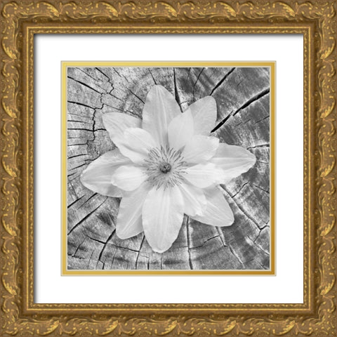 Bloom II Gold Ornate Wood Framed Art Print with Double Matting by Mahan, Kathy