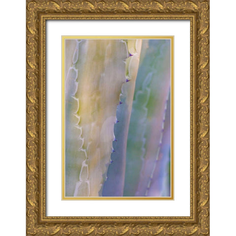 Agave I Gold Ornate Wood Framed Art Print with Double Matting by Mahan, Kathy