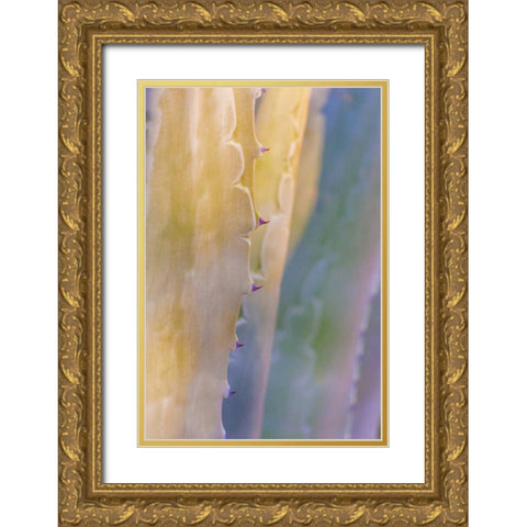 Agave II Gold Ornate Wood Framed Art Print with Double Matting by Mahan, Kathy