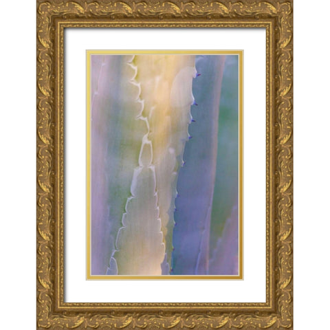 Agave III Gold Ornate Wood Framed Art Print with Double Matting by Mahan, Kathy
