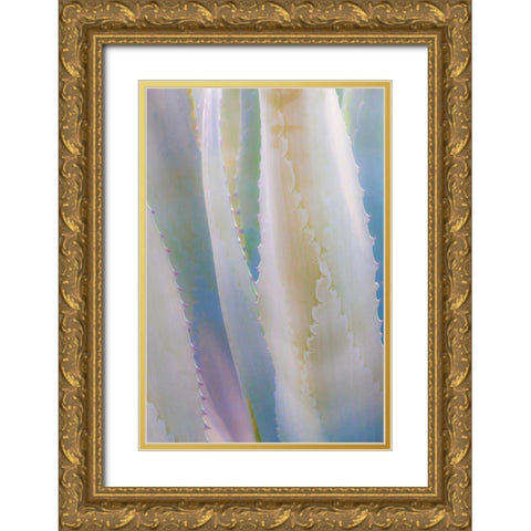 Agave IV Gold Ornate Wood Framed Art Print with Double Matting by Mahan, Kathy